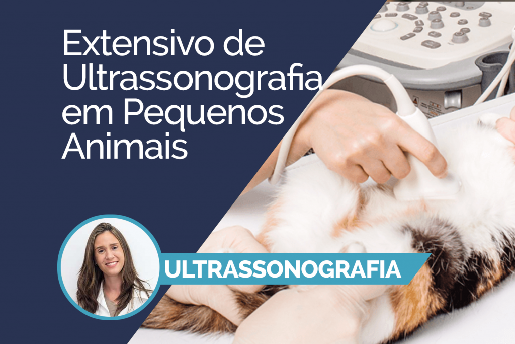 EXTENSIVO de Ultrassonografia em Pequenos Animais