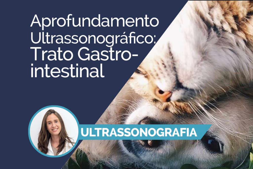 Aprofundamento Ultrassonográfico: Trato Gastrointestinal