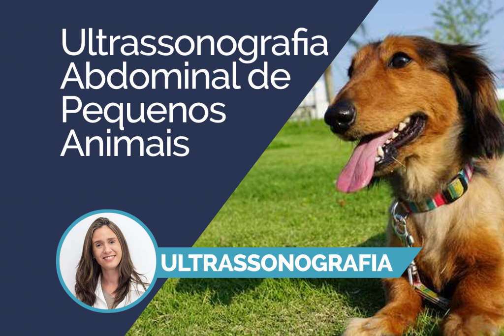 Ultrassonografia Abdominal de Pequenos Animais