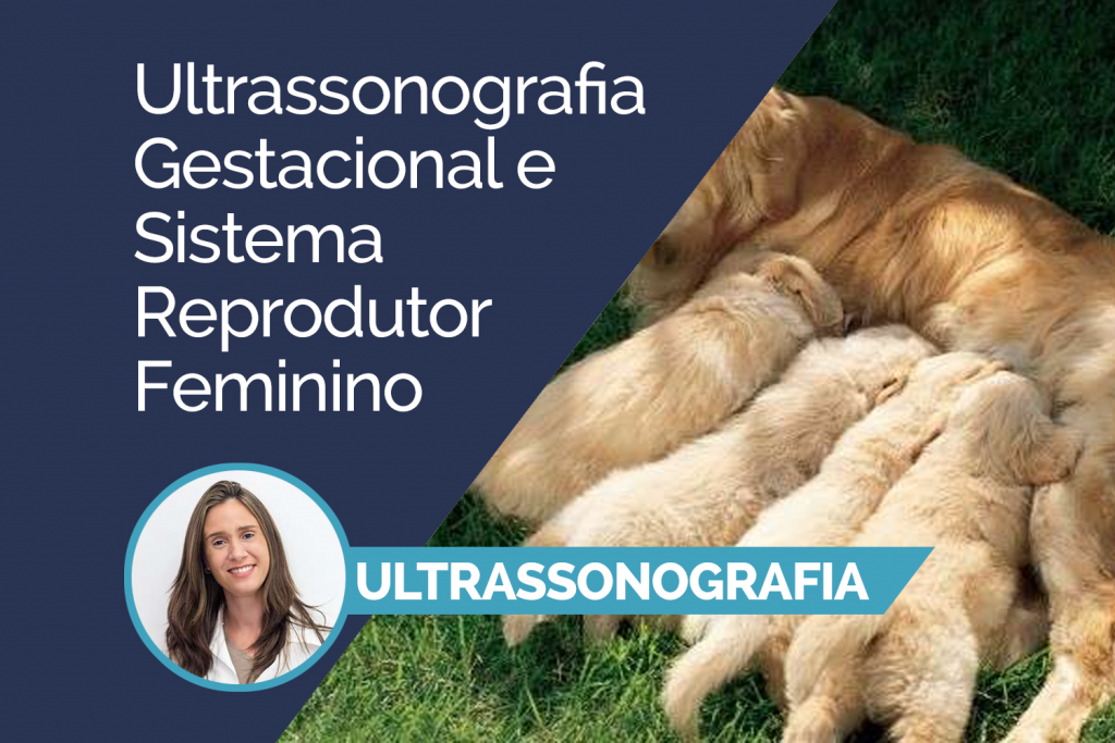 Ultrassonografia Gestacional e Sistema Reprodutor Feminino