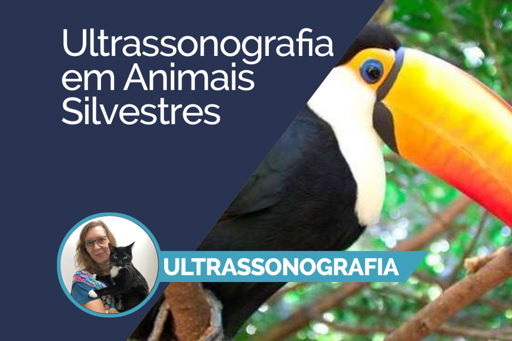 Ultrassonografia em Animais Silvestres