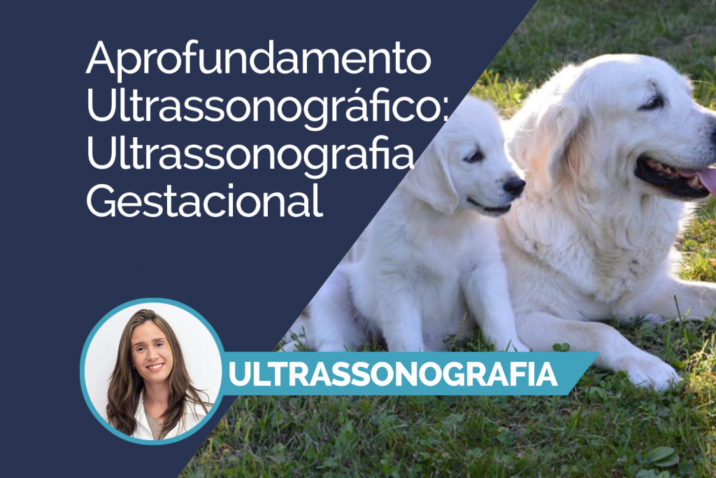 Aprofundamento Ultrassonográfico: Ultrassonografia Gestacional