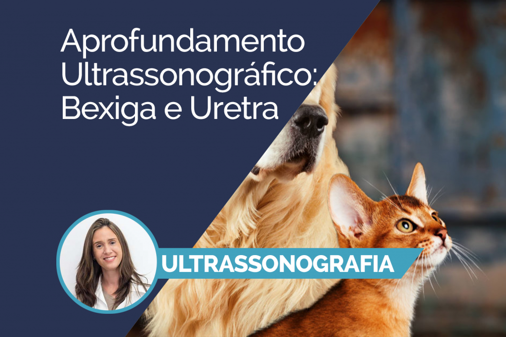 Aprofundamento Ultrassonográfico: Bexiga e Uretra